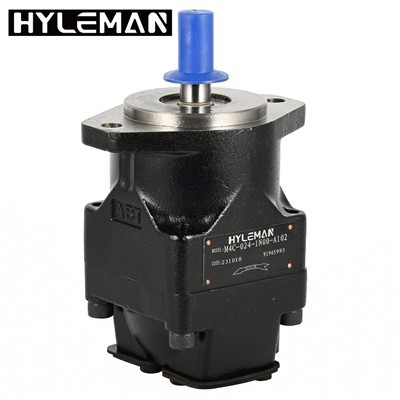 Bomba de palhetas variável